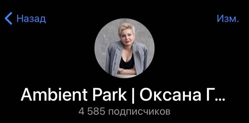 Продаём дома в Telegram: Ambient Park (от 15 млн ₽)